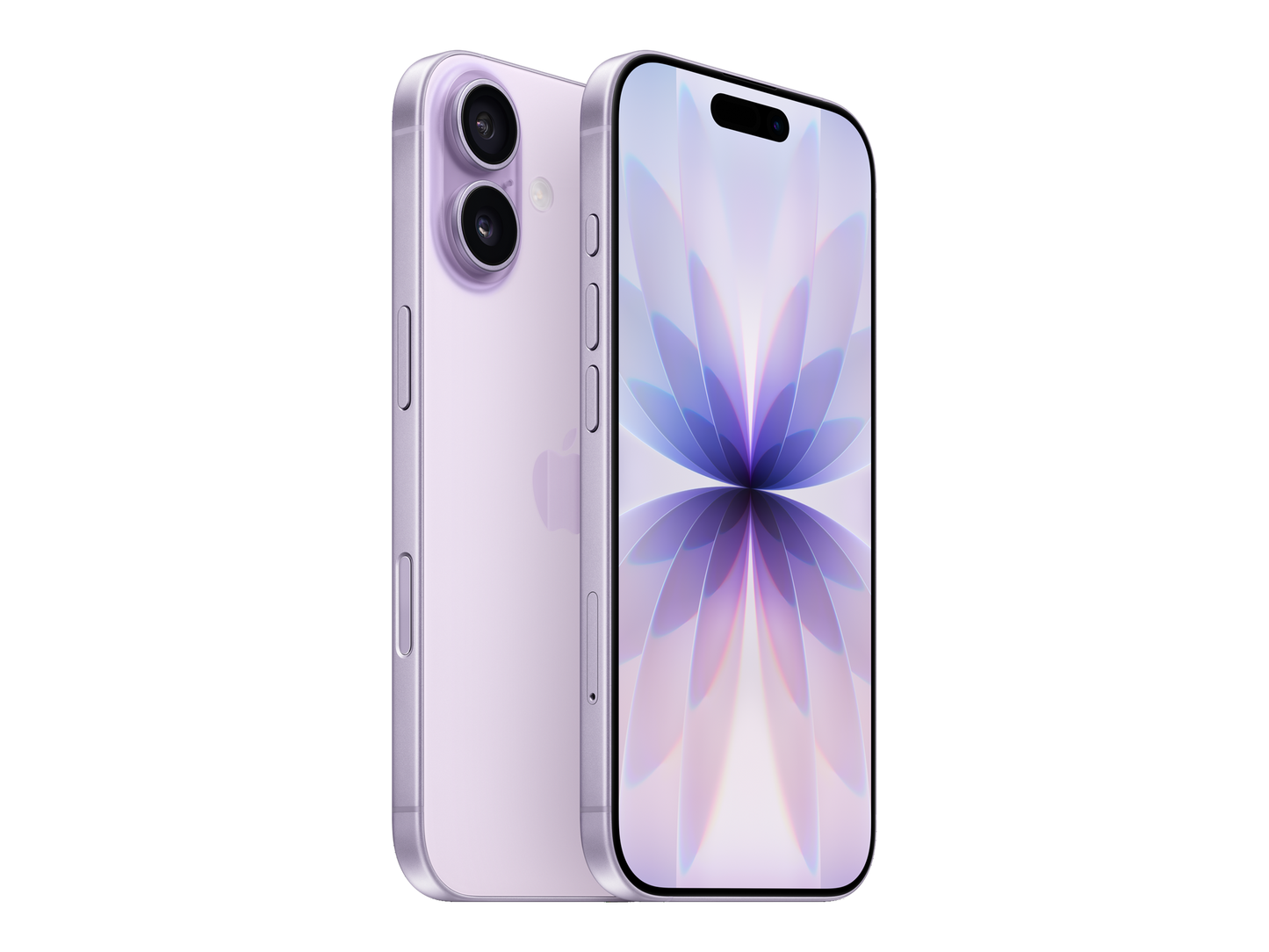 iPhone 17 יבואן רשמי בצבע סגול