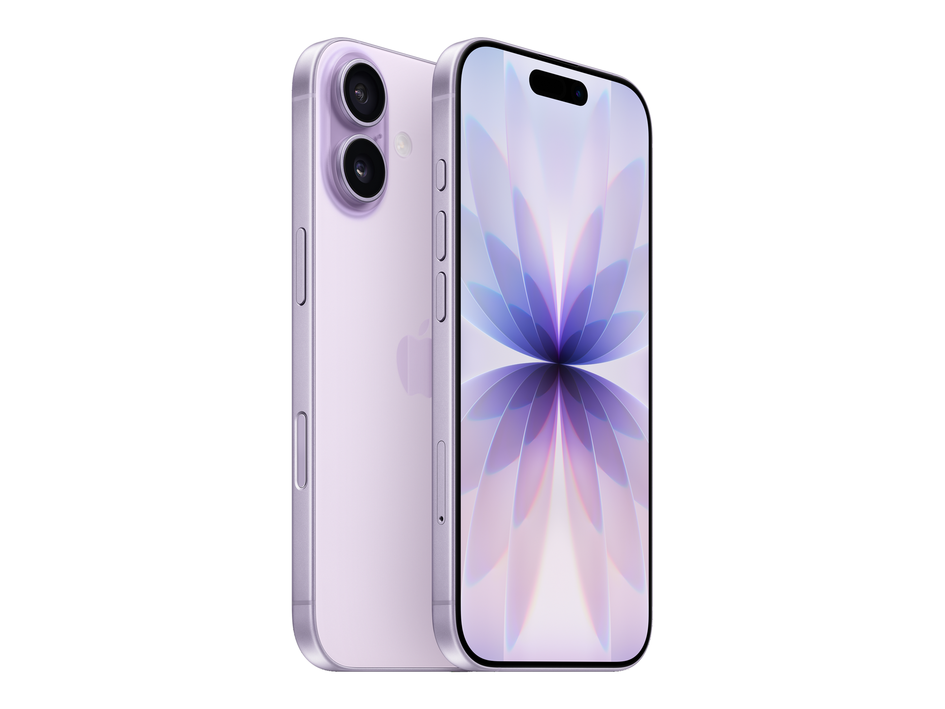 iPhone 17 יבואן רשמי בצבע סגול