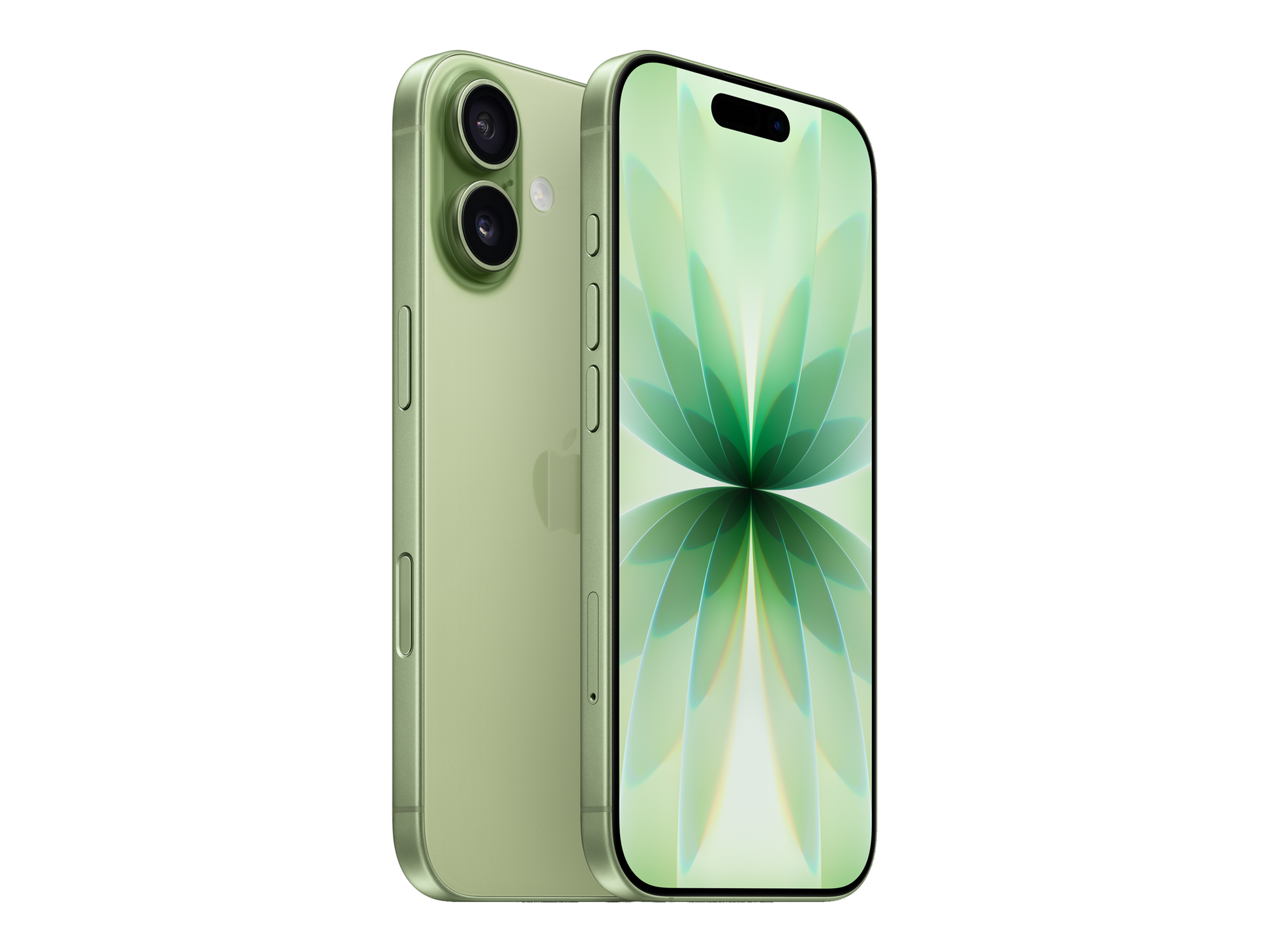iPhone 17 יבואן רשמי בצבע ירוק
